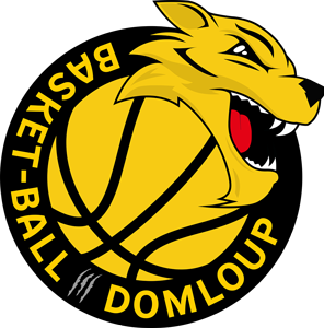 Logo Domloup Basket